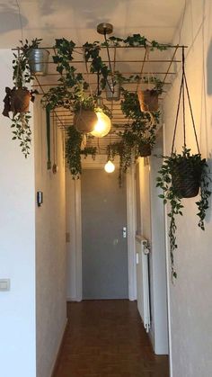 a long hallway with plants hanging from the ceiling and lights on either side of it