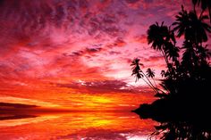 the sky is red and orange as the sun sets in the distance with palm trees silhouetted against it