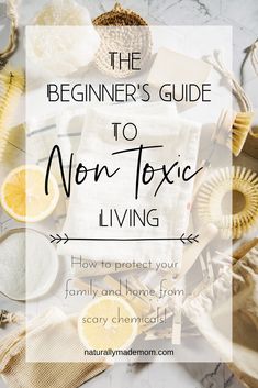 the beginner's guide to non - texic living