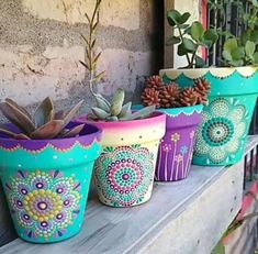 colorful flower pots with succulents and plants in them on a window sill