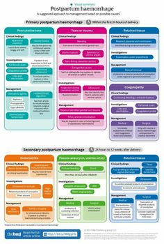 a diagram showing the different types of information in each language, and how they are used