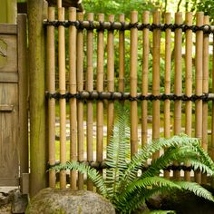 8 Unique DIY Bamboo Fence Ideas For Your Backyard Oasis - Sustain Life Journal Bamboo Diy Garden, Bamboo Backyard, Bamboo Fence Ideas, Unique Fence Ideas, Bamboo Projects, Bamboo Garden Fences, Privacy Fence Landscaping, Chicken Wire Fence, Diy Bamboo