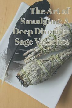 the art of smudging a deep dive into sage varieties