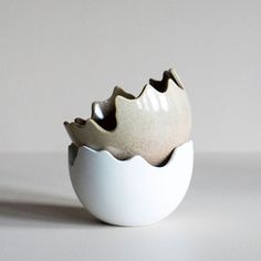 an egg shell is shown in the shape of a bird's nest on a white surface