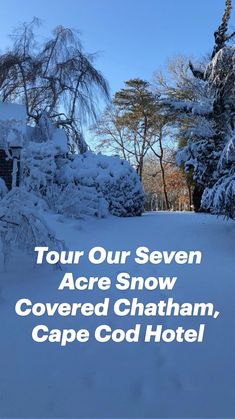 snow covered trees and bushes in front of a house with a blue sky behind them