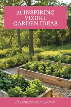 Stunning veggie garden designs showcasing different styles and layouts to inspire your backyard vegetable garden. Featuring an array of plants and creative planting ideas, it emphasizes transforming your outdoor space into a bountiful garden.