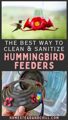 the best way to clean and sanitize hummingbird feeders