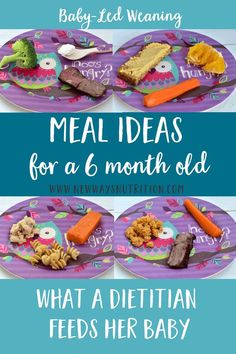 baby - led weaning meal ideas for a 6 month old