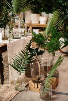 several vases filled with plants on top of a table