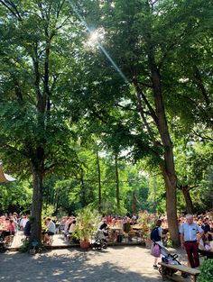 a group of people sitting at picnic tables under trees