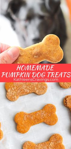 homemade pumpkin dog treats on a baking sheet