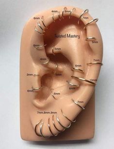 the inside of a human ear with several different types of piercings on each side