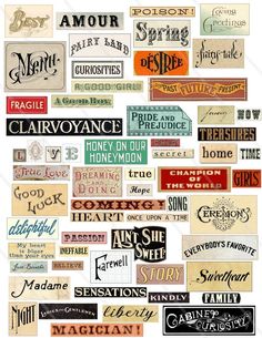 an assortment of different types of labels