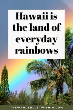 a rainbow and palm trees with the words hawaii is the land of everyday rainbows