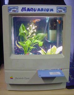 an old computer with plants in it on a wooden table next to a blue box