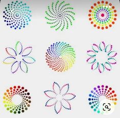 six different colored dots arranged in the shape of an abstract flower on a white background