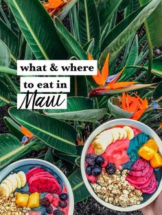 two bowls filled with fruit and cereal on top of a green leafy plant next to the words what & where to eat in miami