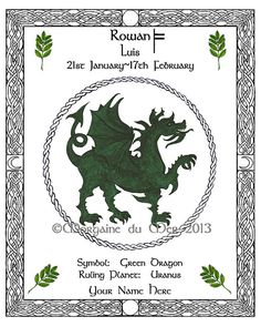 a green dragon is in the middle of a frame with celtic writing and an image of leaves