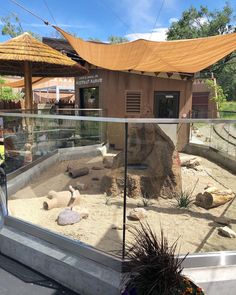 a zoo enclosure with rocks and plants in it