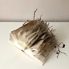 an open book sitting on top of a white table next to a twig plant