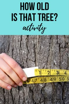 someone holding a measuring tape in front of a tree with the words how old is that tree? activity