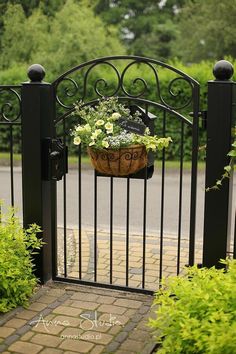 an iron gate with a potted plant in it