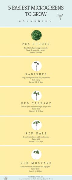 five different types of plants that are growing from seed to plant info sheet with text