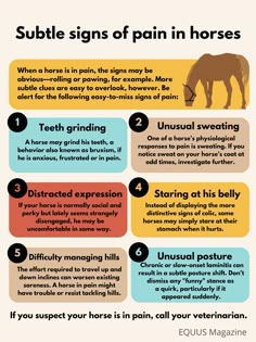 a poster with some information about horses and how to use them for their health benefits