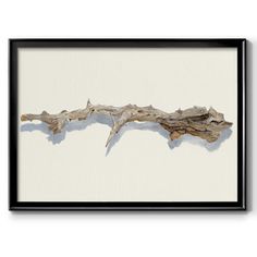 a piece of drift wood hanging on the wall in front of a white background with black frame