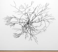 a black and white photo of branches on a wall in an art gallery with wood flooring