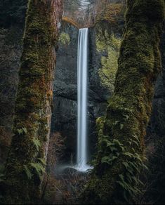 a tall waterfall surrounded by trees in the middle of a forest with moss growing on it's sides