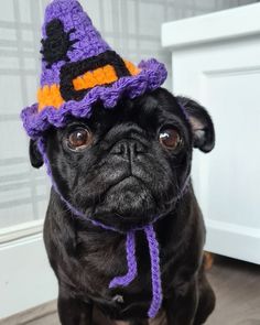 a black pug dog wearing a crocheted witches hat