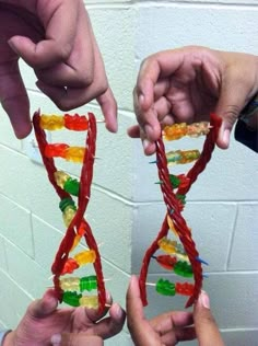 two hands holding up a model of a double - stranded red, green, yellow and orange structure