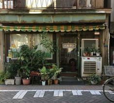 an old building with potted plants in front of it and a bicycle parked outside