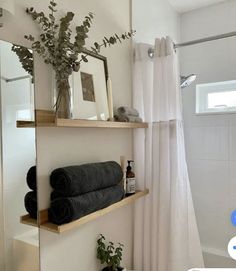 a bathroom with towels and plants on the shelves