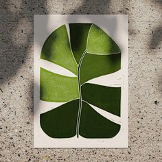 a green leaf on a white paper with some shadow in the background and a person standing next to it