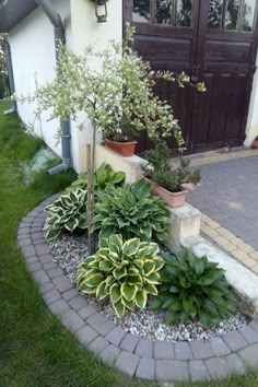 some plants are in pots on the side of a house and there is a driveway