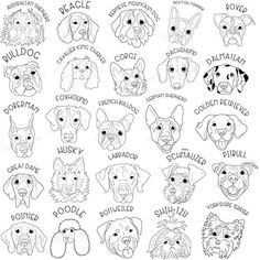 the different types of dogs that are in each dog's head and name on their faces