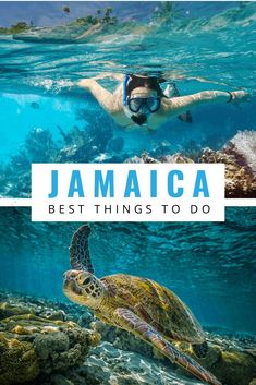 a person swimming in the ocean with a turtle and text that reads jamaica best things to do