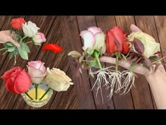 two hands are holding flowers on a wooden table with roots in the vase and another hand is reaching for them