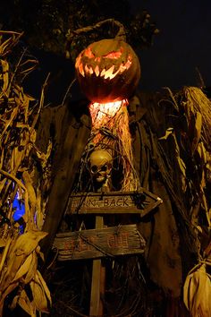 a scarecrow with a jack - o - lantern on his head