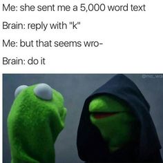 the muppets are talking to each other with caption that reads me she sent me a 5, 000 word text brain reply with k me but that seems wrong - brain do it