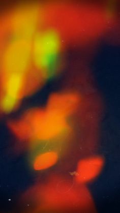 blurry image of an orange and green object