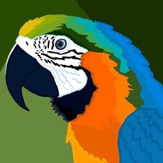 a colorful parrot is standing in front of a green background with blue, yellow and orange feathers