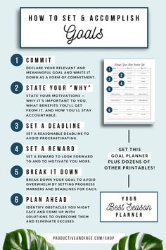 an info sheet with the words how to set and accomplish goals