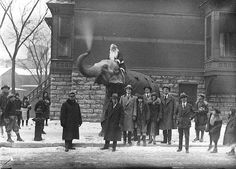 an old black and white photo of people standing around an elephant