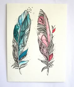 two feathers with different colors and designs on them