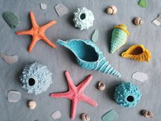 various sea shells and starfish on a table