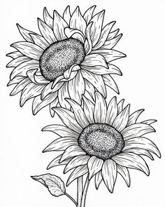 three sunflowers with leaves on the stems and one is black and white,