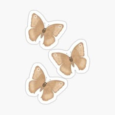 three brown butterflies on a white background